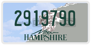 2919790  license plate in NH
