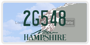 2G548  license plate in NH