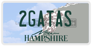 2GATAS  license plate in NH