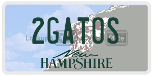 2GATOS  license plate in NH
