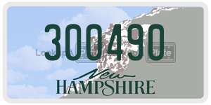 300490  license plate in NH