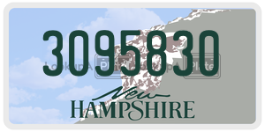 3095830  license plate in NH