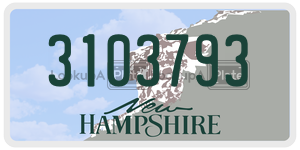 3103793  license plate in NH