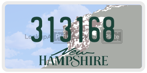 313168  license plate in NH