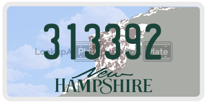313392  license plate in NH