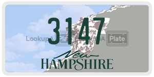 3147  license plate in NH
