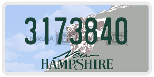 3173840  license plate in NH