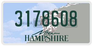 3178608  license plate in NH