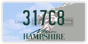 317C8  license plate in NH