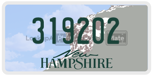 319202  license plate in NH