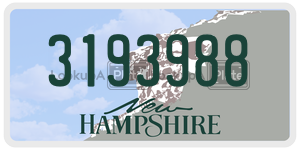 3193988  license plate in NH