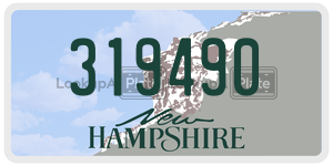 319490 license plate in New Hampshire