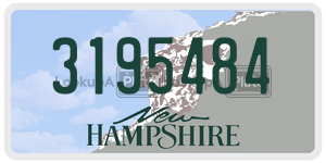 3195484  license plate in NH