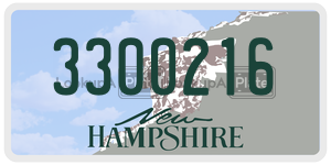 3300216  license plate in NH