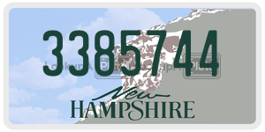 3385744  license plate in NH