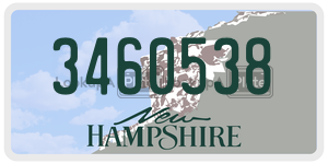 3460538  license plate in NH