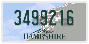 3499216  license plate in NH