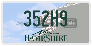 352H9  license plate in NH