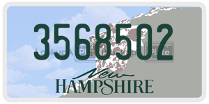 3568502  license plate in NH