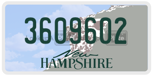 3609602  license plate in NH