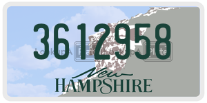3612958  license plate in NH