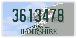 3613478  license plate in NH