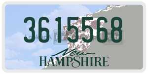 3615568  license plate in NH