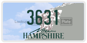 3631  license plate in NH