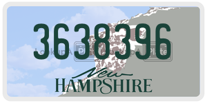 3638396  license plate in NH