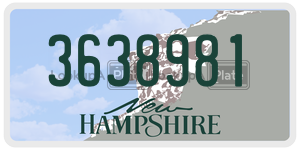 3638981 license plate in New Hampshire