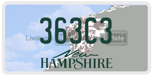 363C3  license plate in NH
