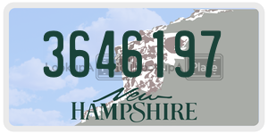 3646197  license plate in NH