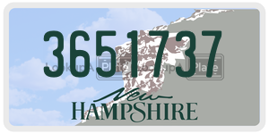 3651737  license plate in NH