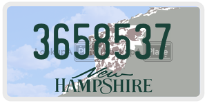 3658537  license plate in NH