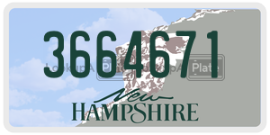 3664671  license plate in NH