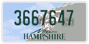 3667647  license plate in NH