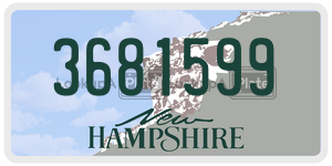 3681599  license plate in NH