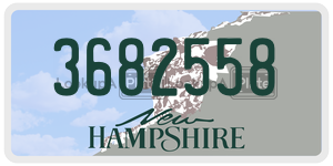 3682558  license plate in NH