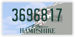 3696817  license plate in NH