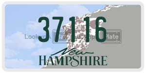 37116 license plate in New Hampshire