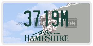 3719M  license plate in NH