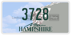 3728  license plate in NH