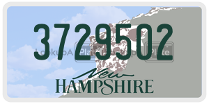 3729502  license plate in NH