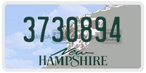 3730894  license plate in NH