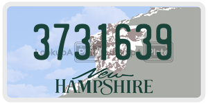3731639  license plate in NH