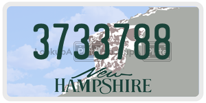 3733788  license plate in NH