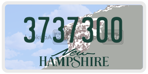 3737300  license plate in NH