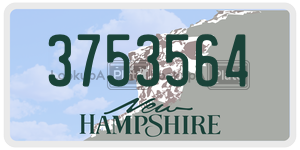 3753564  license plate in NH