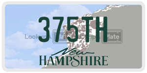 375TH  license plate in NH