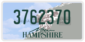 3762370  license plate in NH